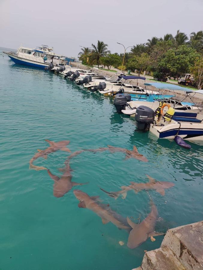 Rashuthere Maldives Rasdhoo Εξωτερικό φωτογραφία