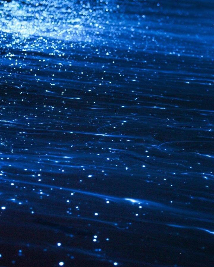 Rashuthere Maldives Rasdhoo Εξωτερικό φωτογραφία