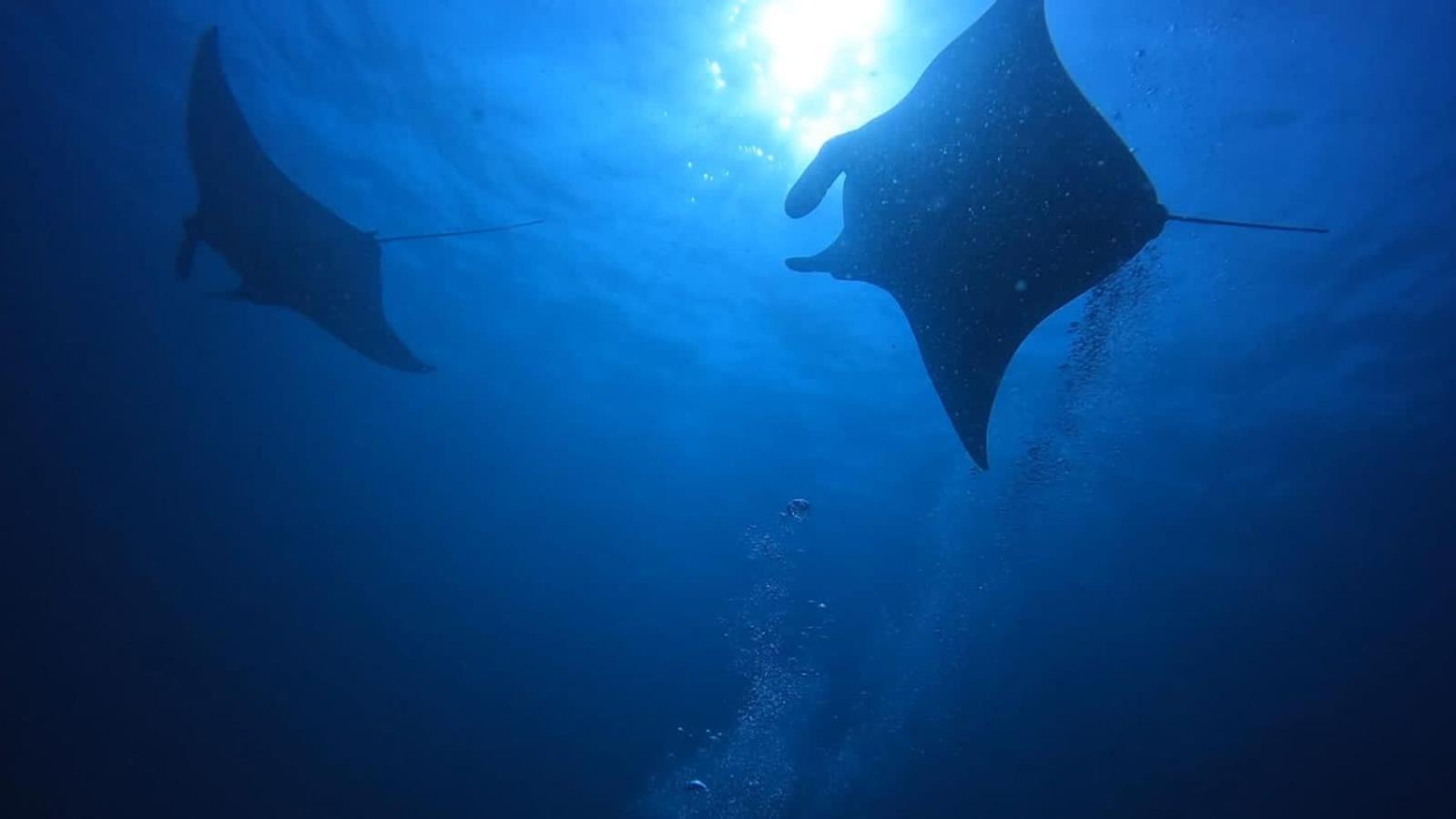 Rashuthere Maldives Rasdhoo Εξωτερικό φωτογραφία