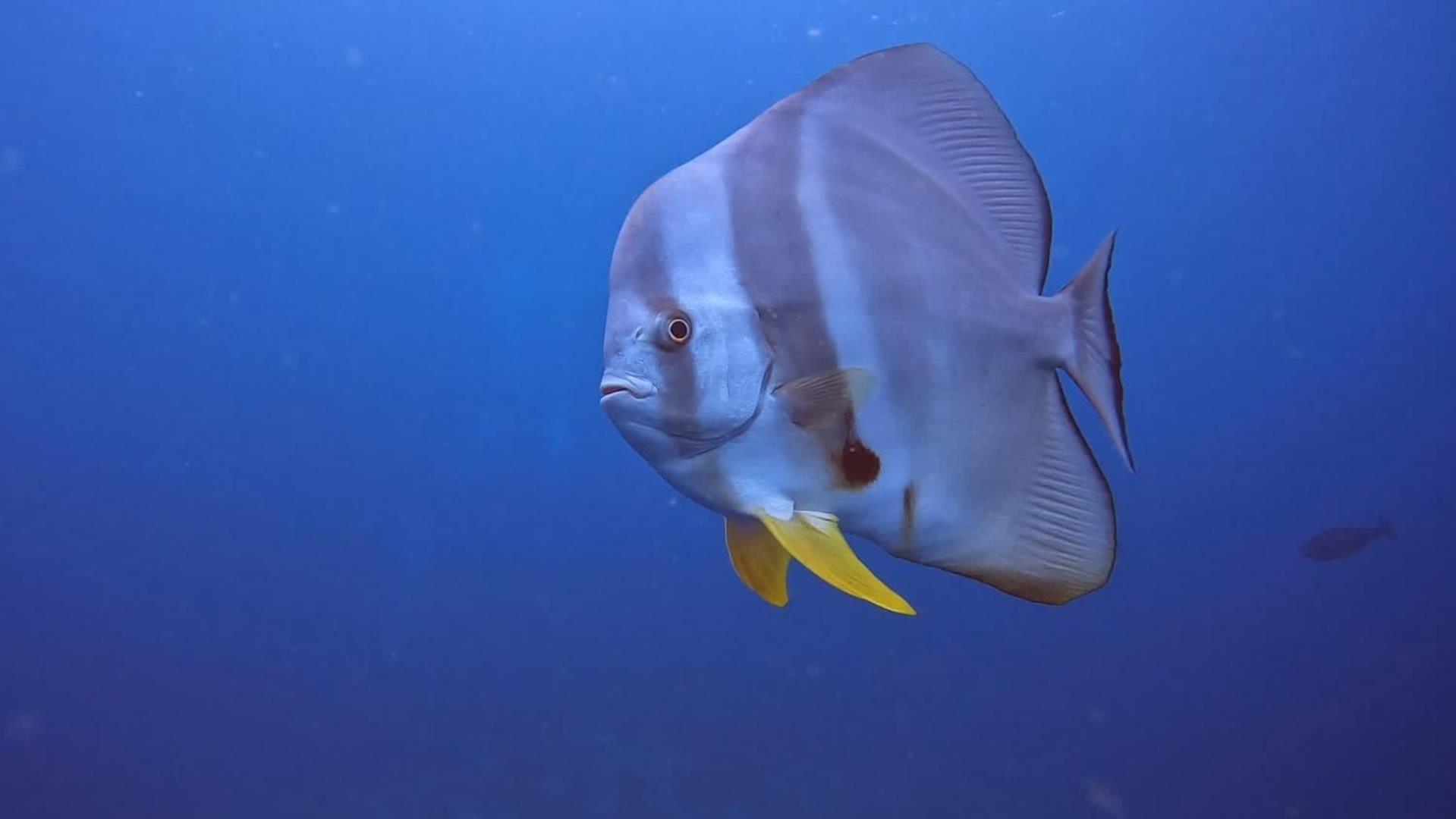 Rashuthere Maldives Rasdhoo Εξωτερικό φωτογραφία