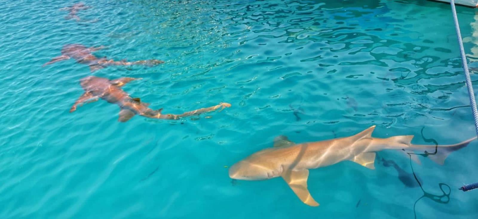 Rashuthere Maldives Rasdhoo Εξωτερικό φωτογραφία