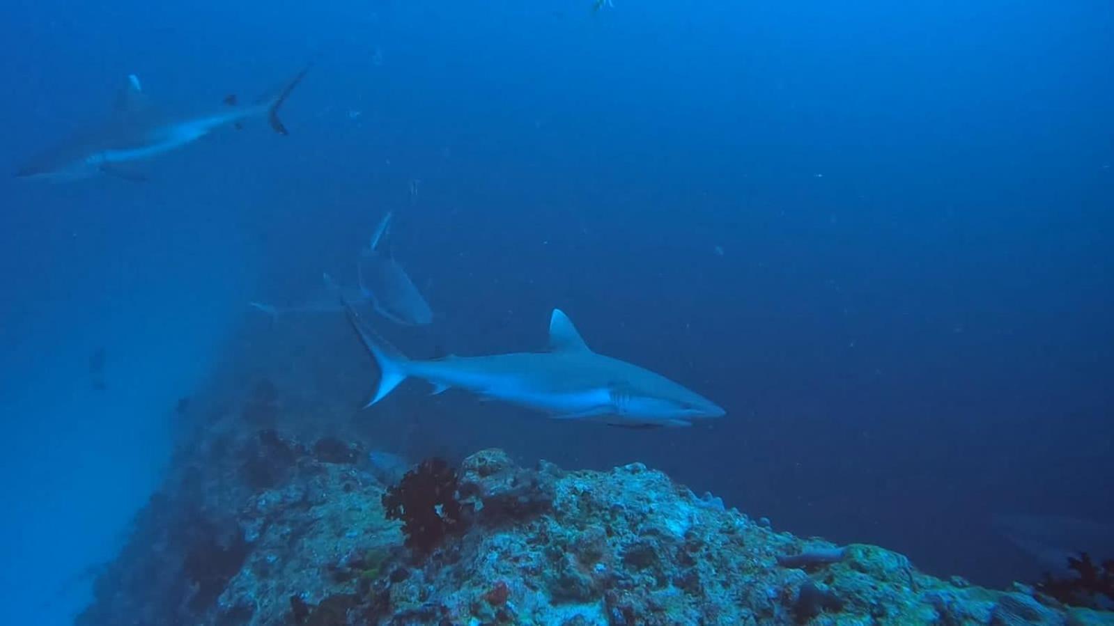 Rashuthere Maldives Rasdhoo Εξωτερικό φωτογραφία
