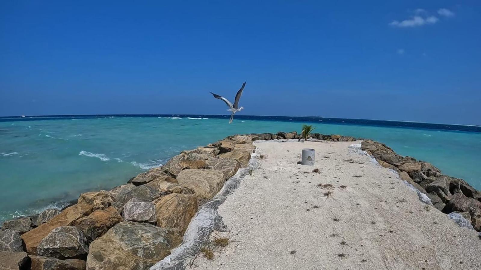 Rashuthere Maldives Rasdhoo Εξωτερικό φωτογραφία