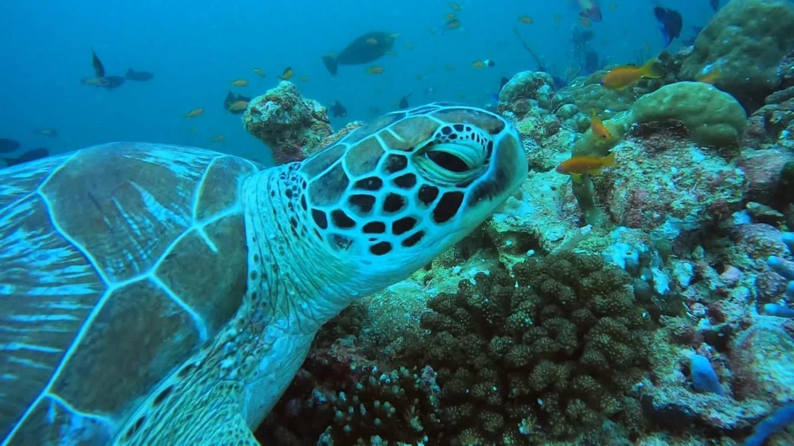 Rashuthere Maldives Rasdhoo Εξωτερικό φωτογραφία