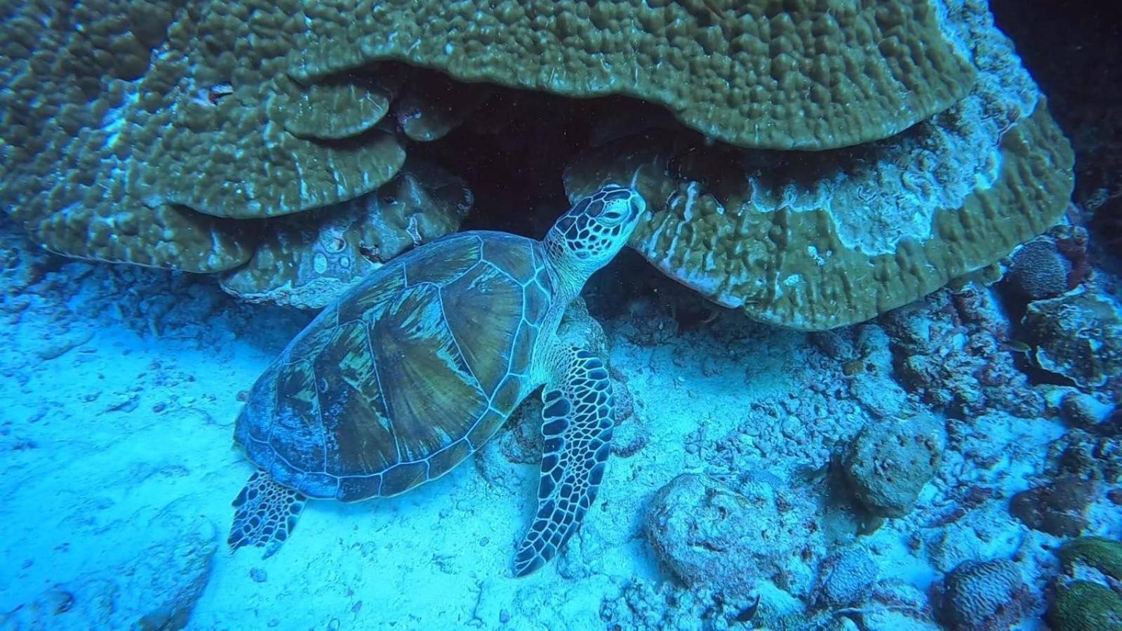 Rashuthere Maldives Rasdhoo Εξωτερικό φωτογραφία